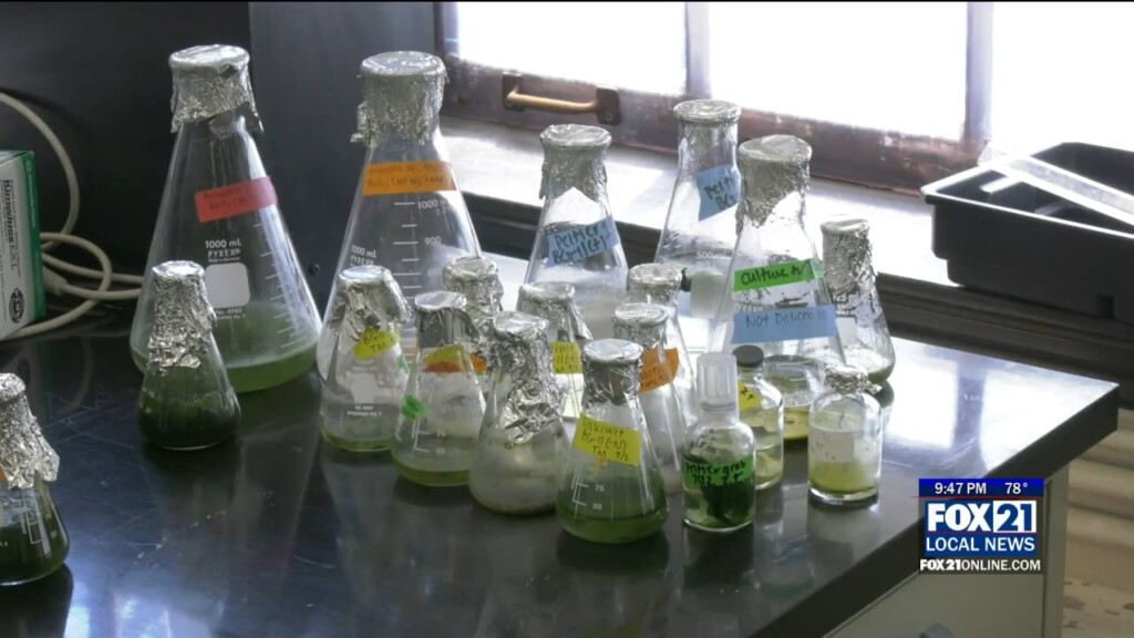 Science On Deck
