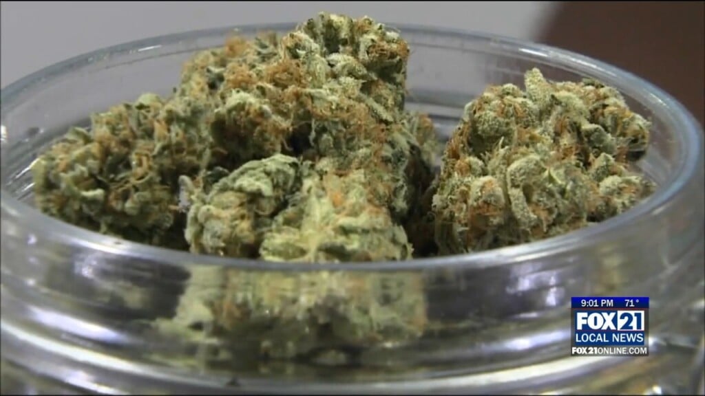 Dpd Marijuana