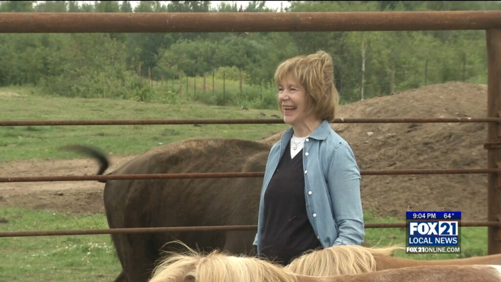 Tina Smith Buffalos