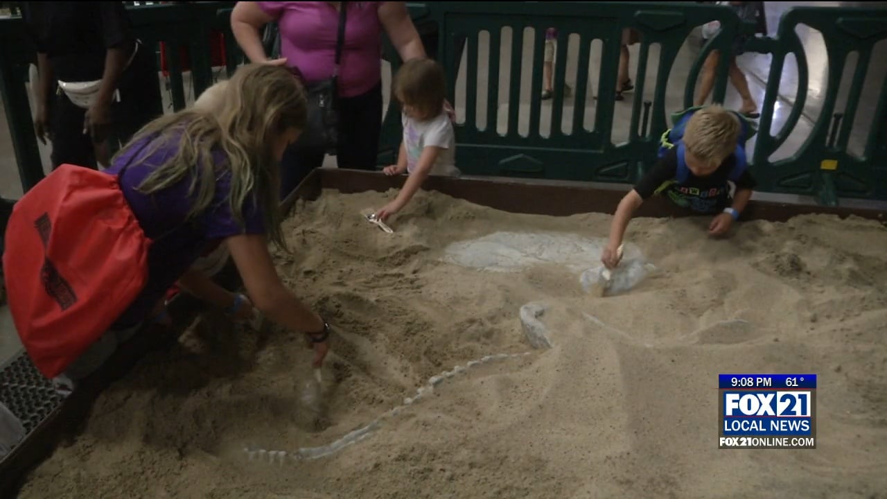 Jurassic Empire Bringing Dinosaur Fun to Proctor - Fox21Online