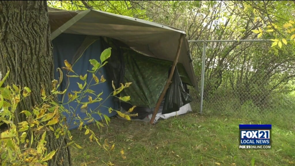 Homeless Crisis