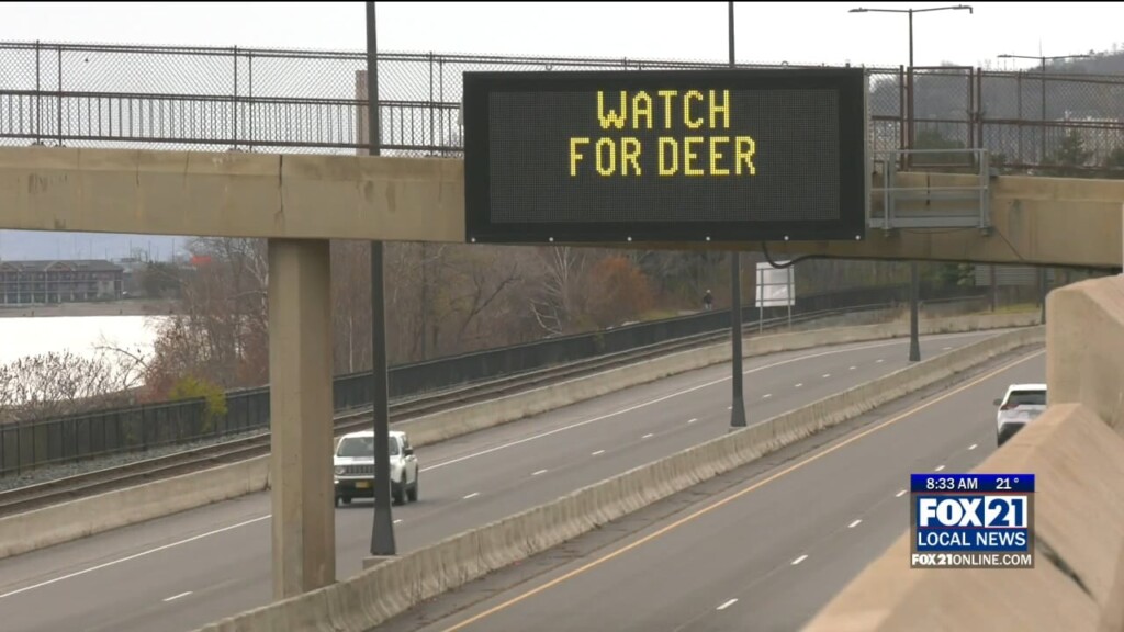 Veer For Deer