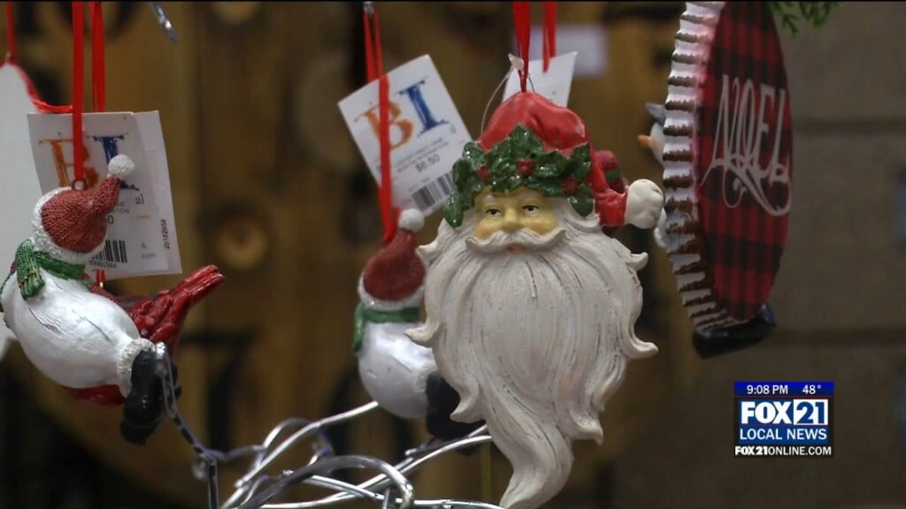 Festival Of Trees