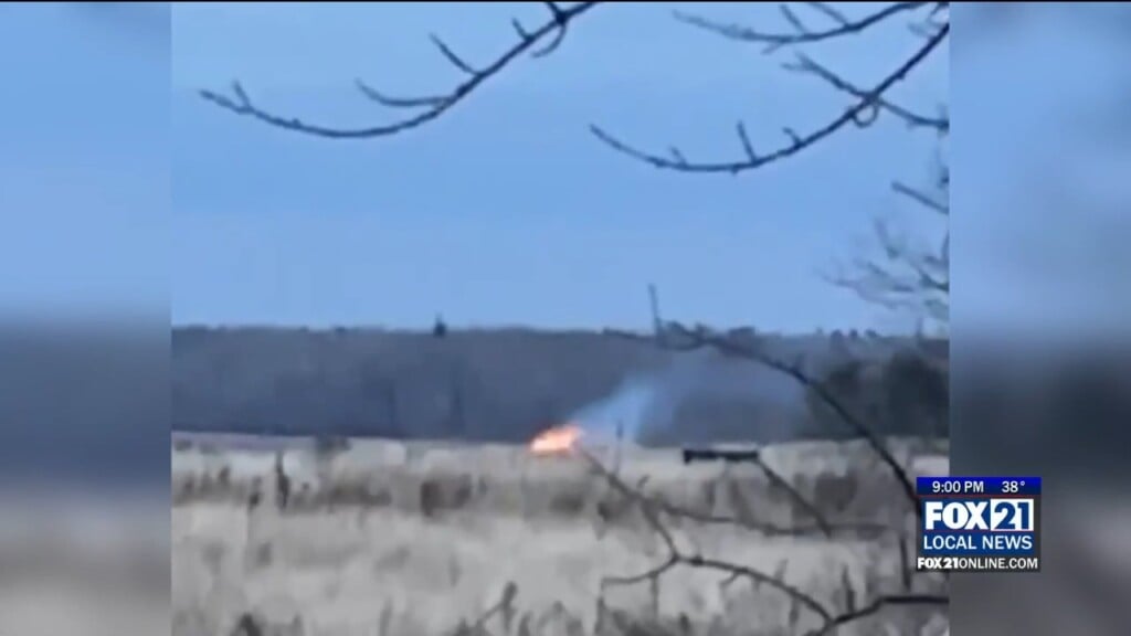 Wildfire
