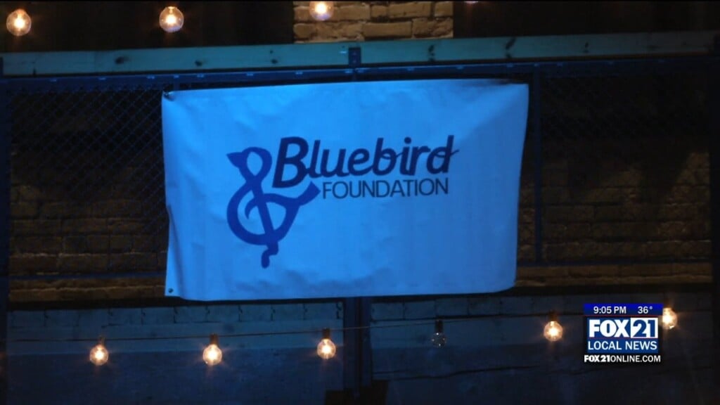 Bluebird