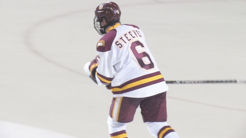 Steeves