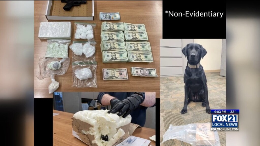 Drug Bust