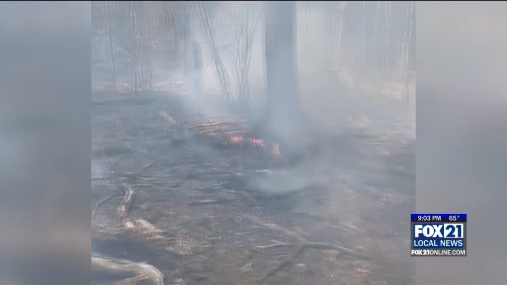 Prescribed Burning