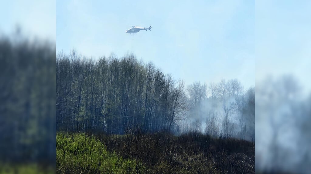 Cottonwildfire