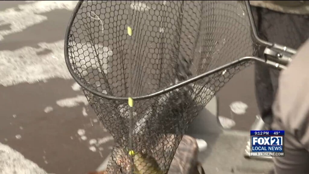 Fishing Opener