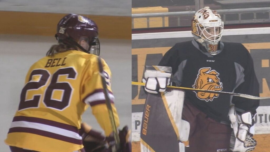 Pwhl Rooks