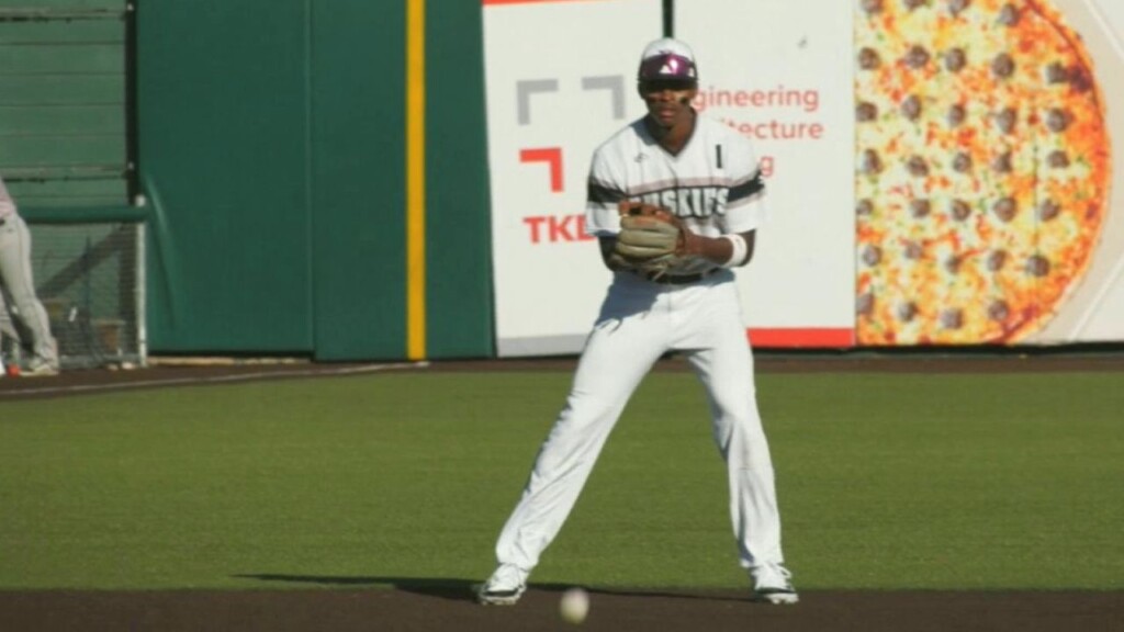 Duluth Huskies
