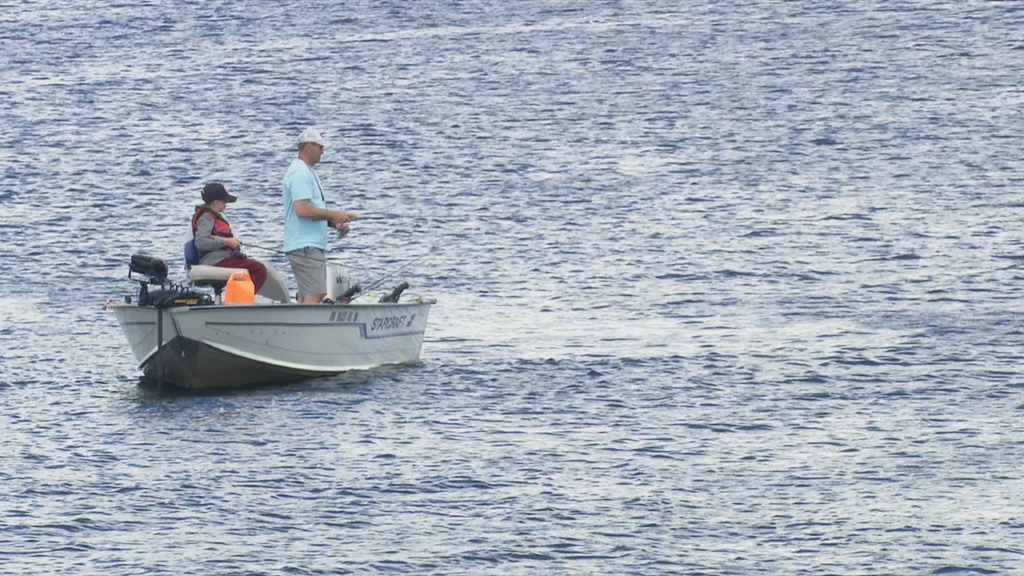 Alsfishtournament
