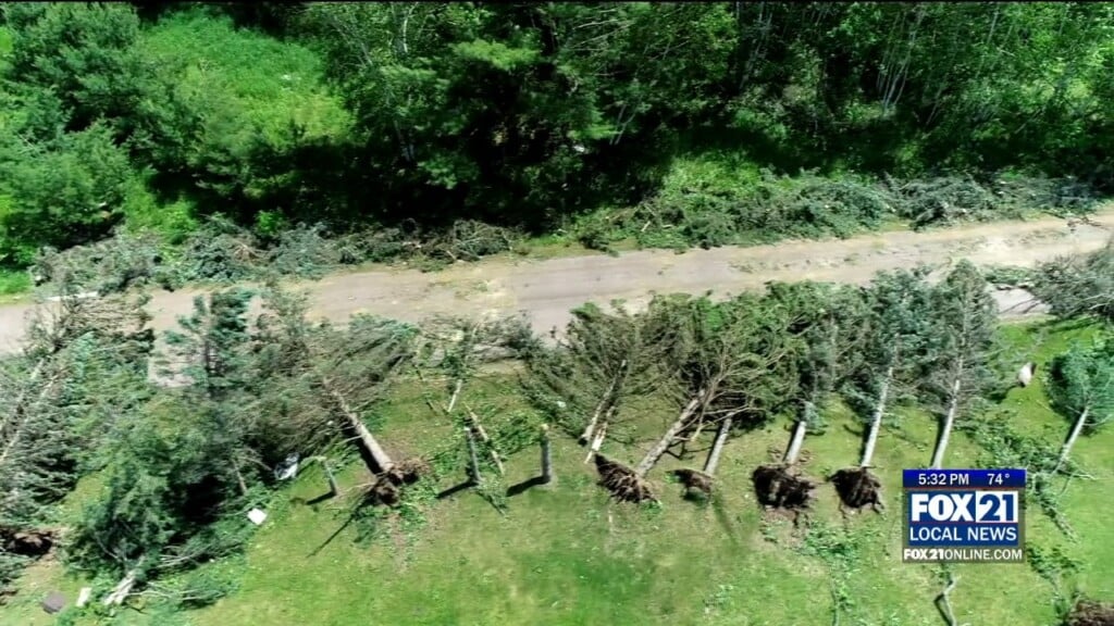 Nws Damage Report