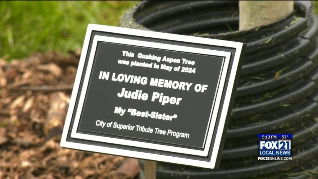 Tribute Tree