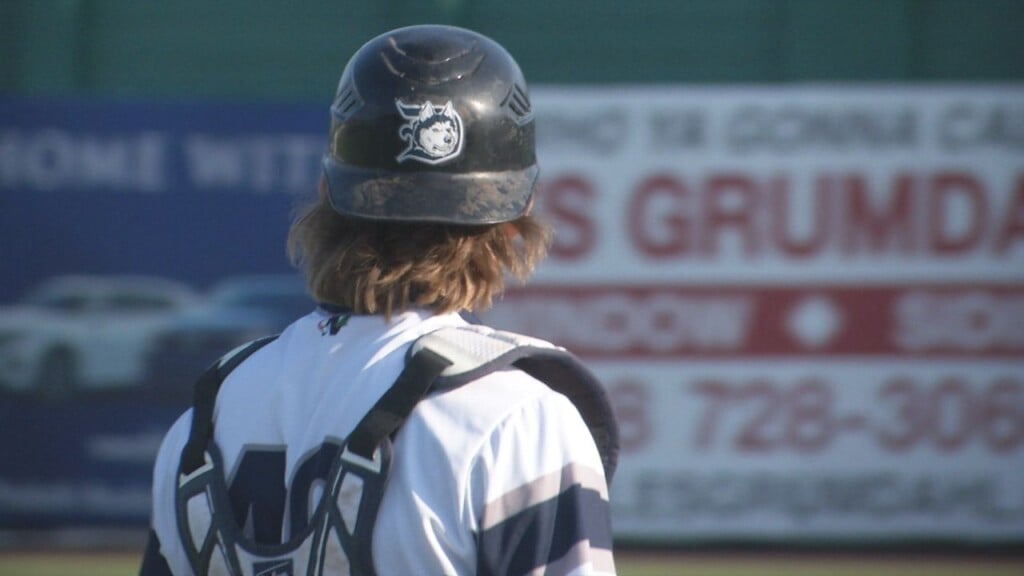 Huskies Web 712