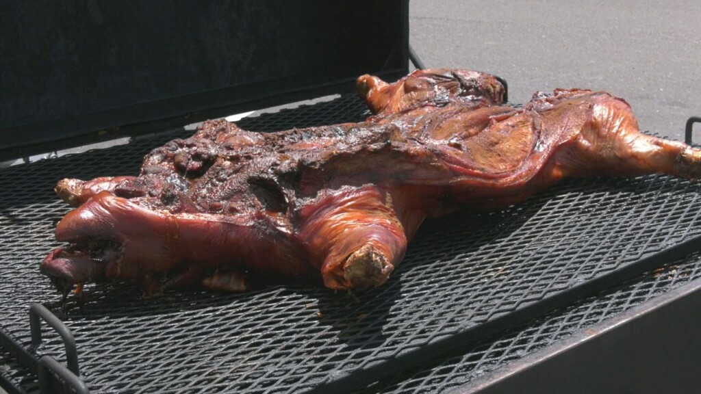 Hog Life