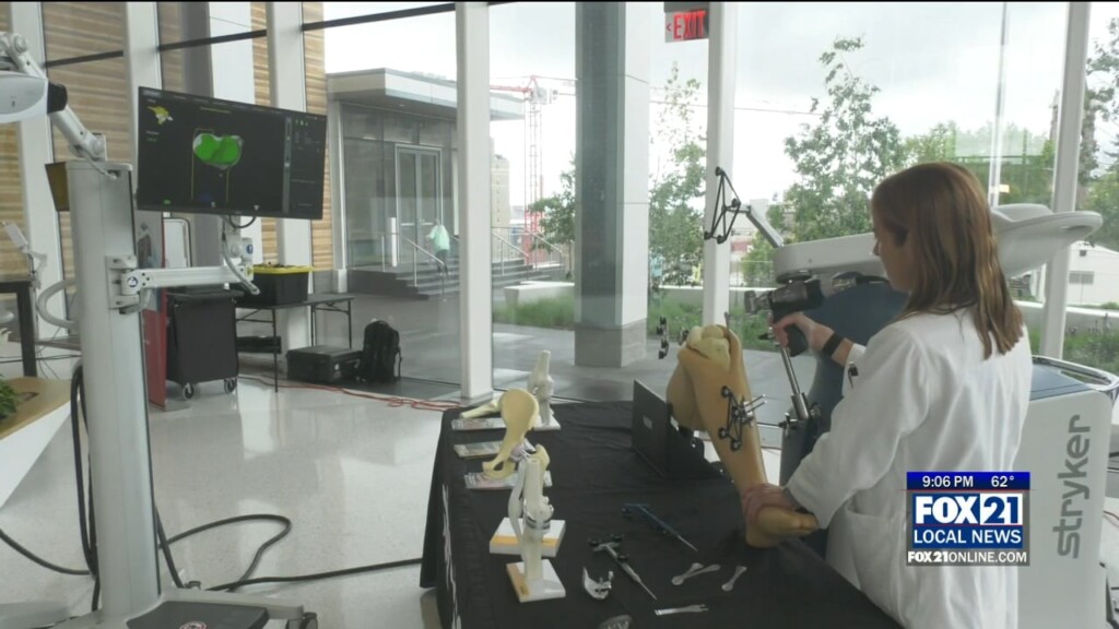 Essentia Robots