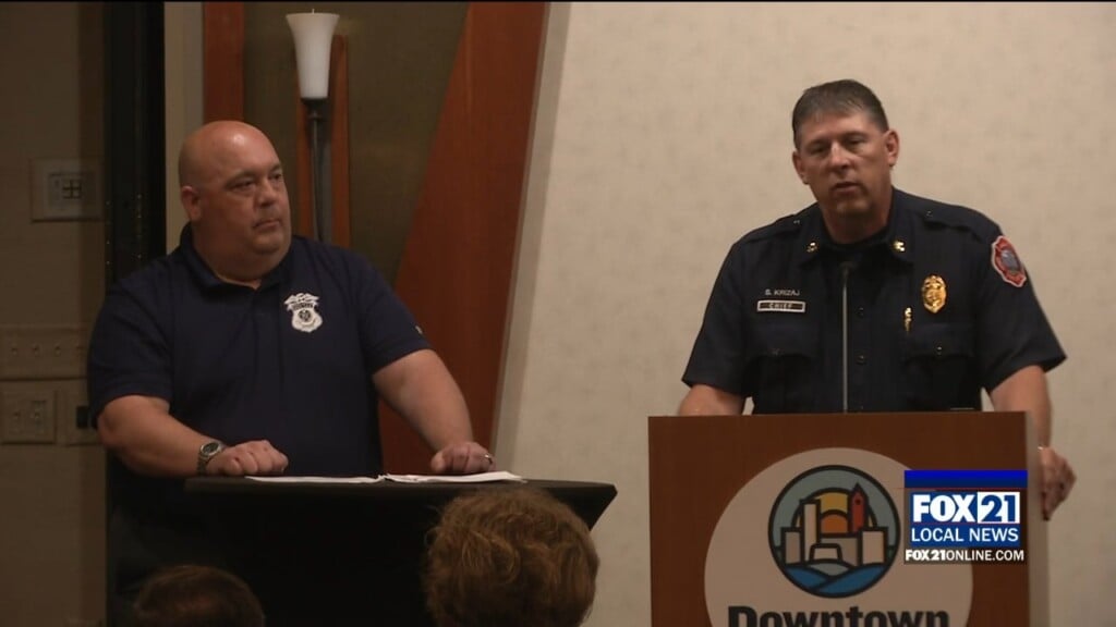 Public Safety 2