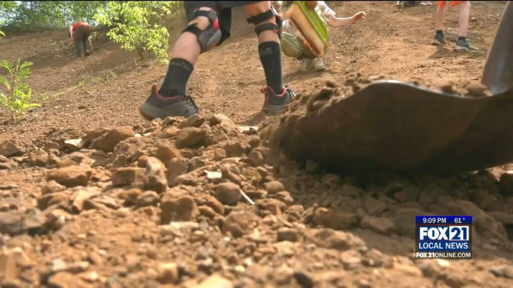 Finding Fossils