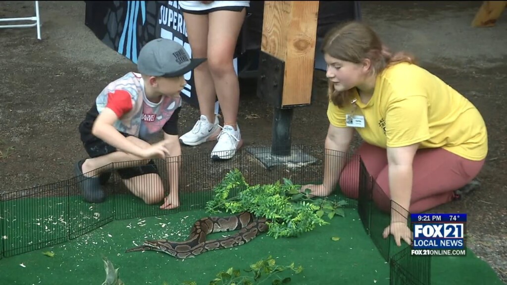 Zoo La Palooza