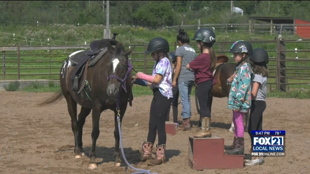Horse Camp
