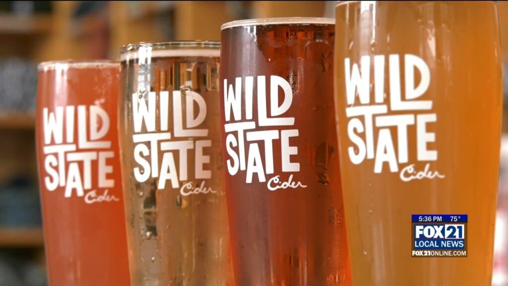 Wild State