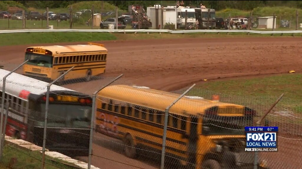 Bus Races