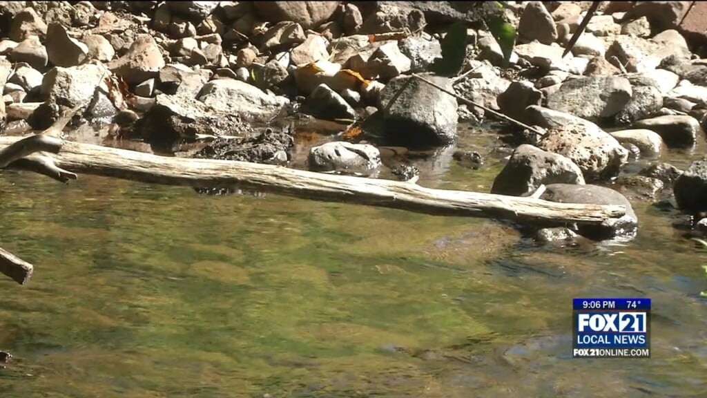 Update Fish Kill