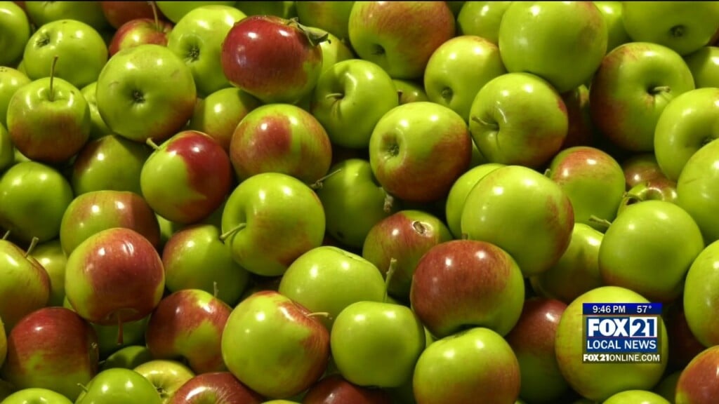 Apple Orchard