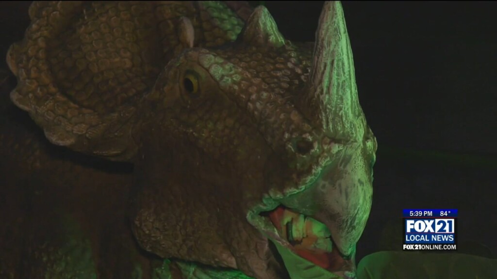 Dino
