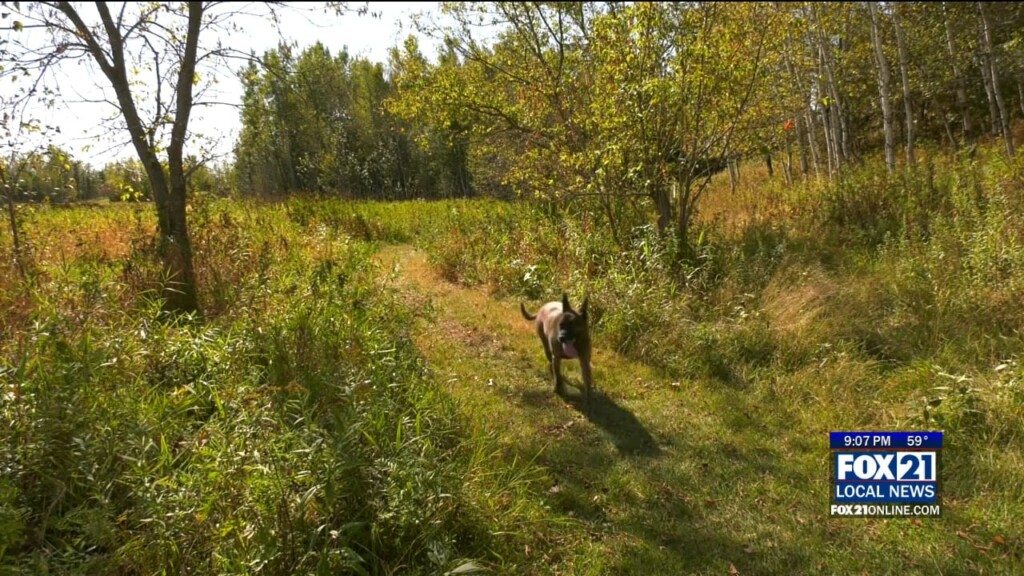 Hiking Trail