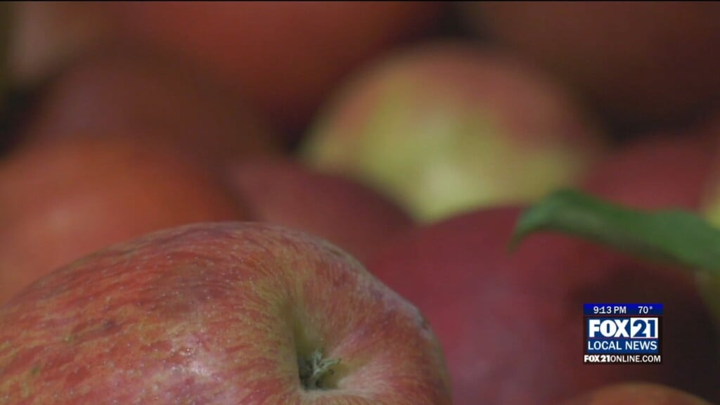 Apples Needed