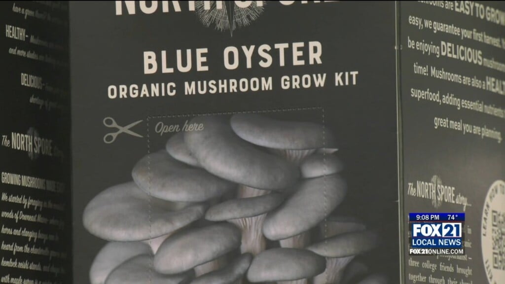Mushroom Class