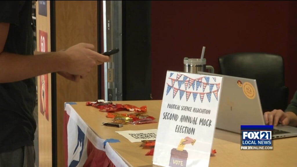 Mock Election