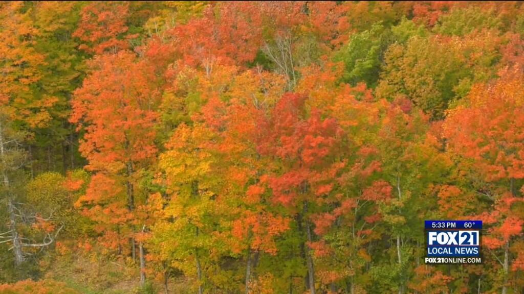 Lutsen