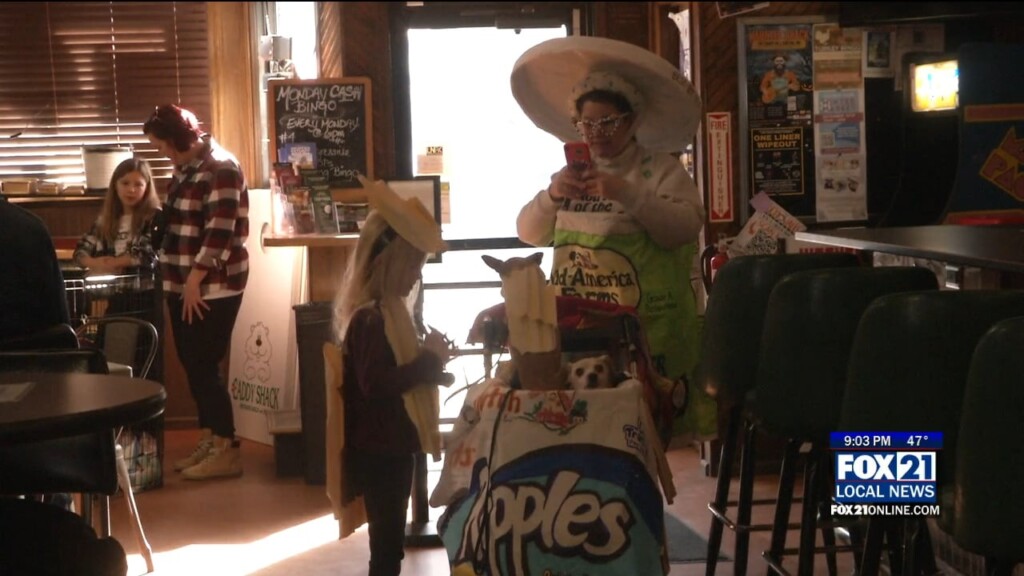 Dog Costume Show