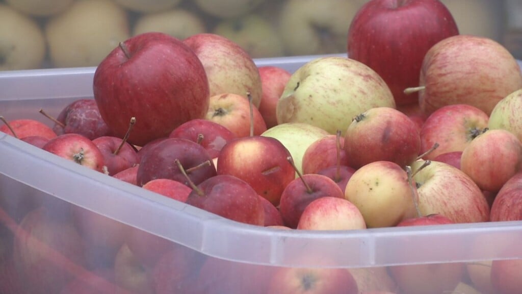 Apple Still