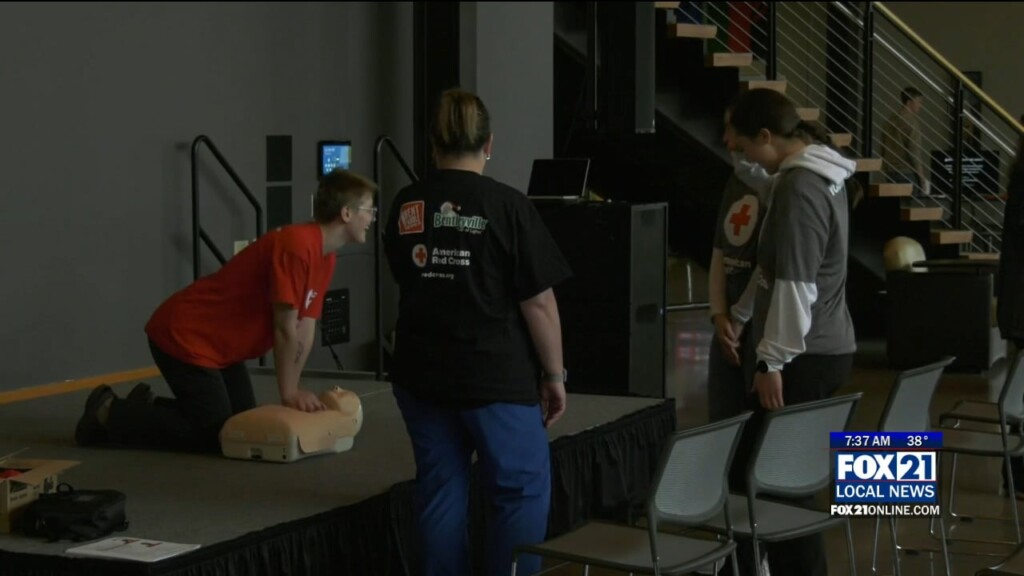 Red Cross Day