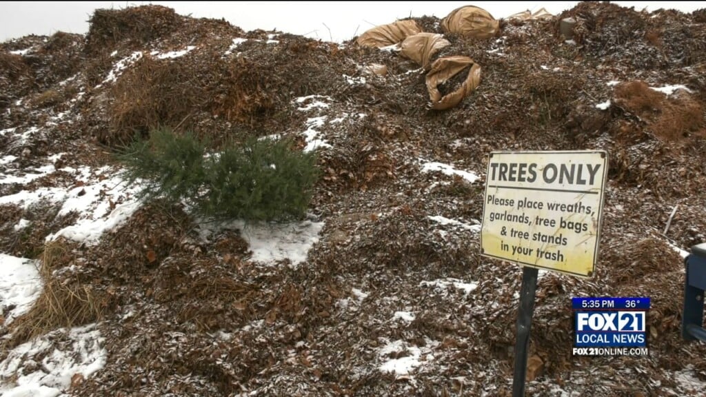 Treecycling