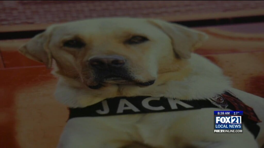 K9jack