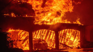 Screenshot 2025 01 08 051635