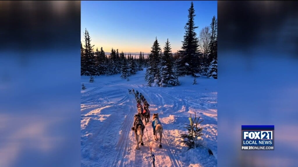 Iditarod