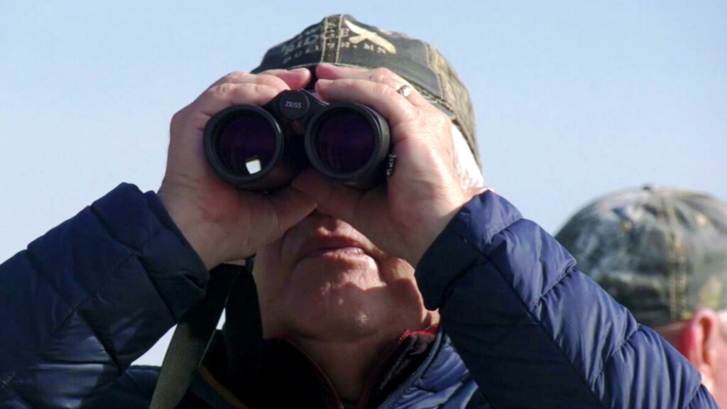 Hawkcount