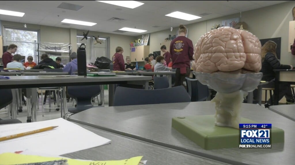 Neuroscience Lab