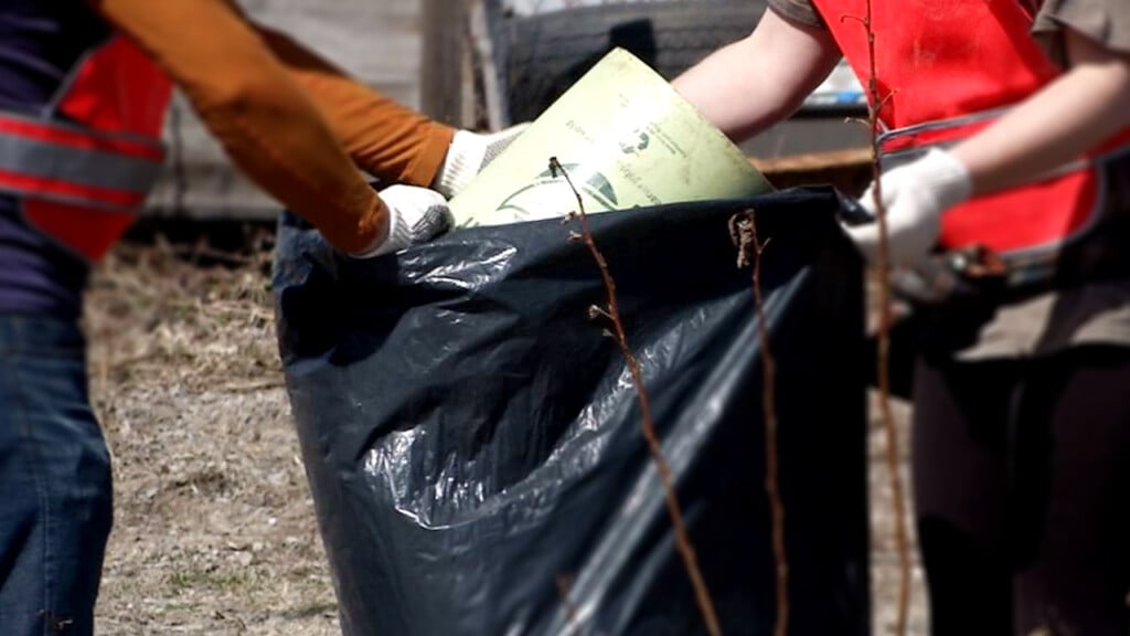 Lincolnparkcleanup