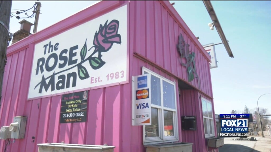 The Rose Man
