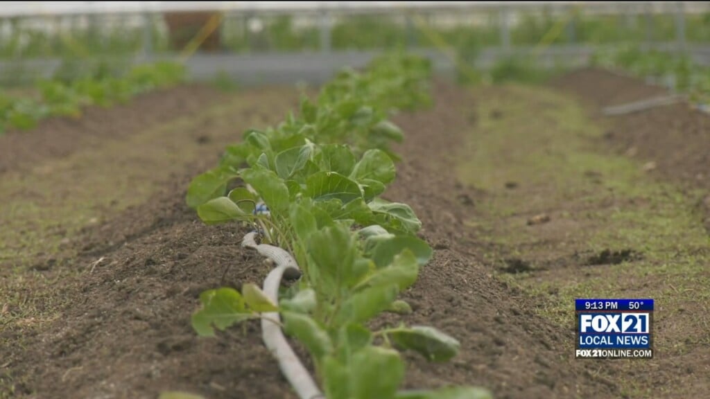 From Field To Market: 'brule River Farms' Gears Up For Farmers Market Season