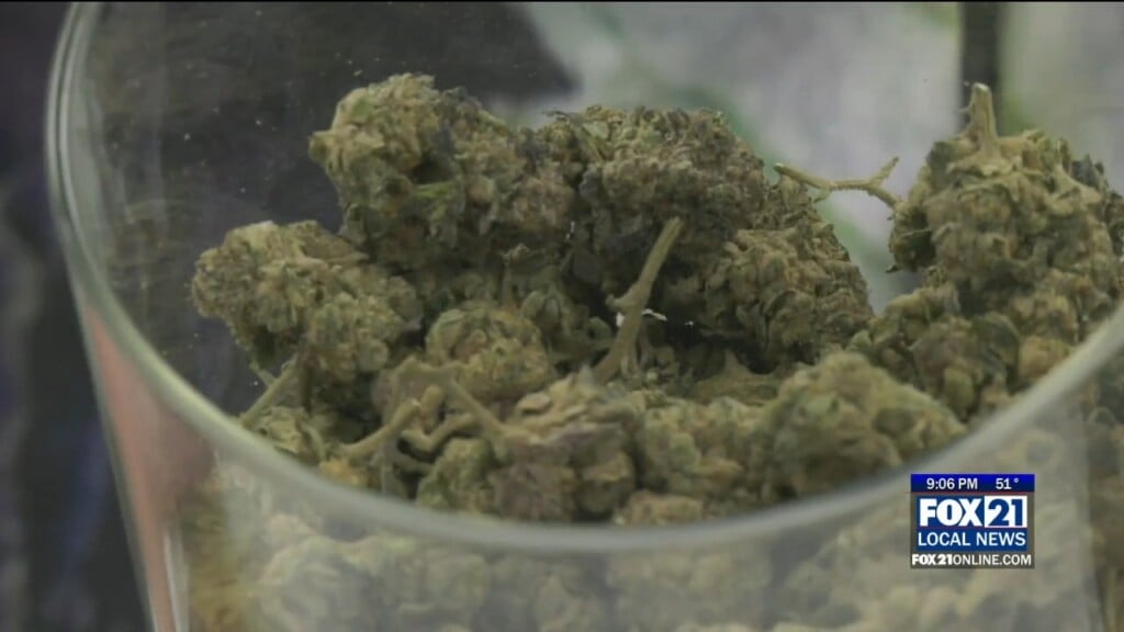 Fdlr Cannabis Co
