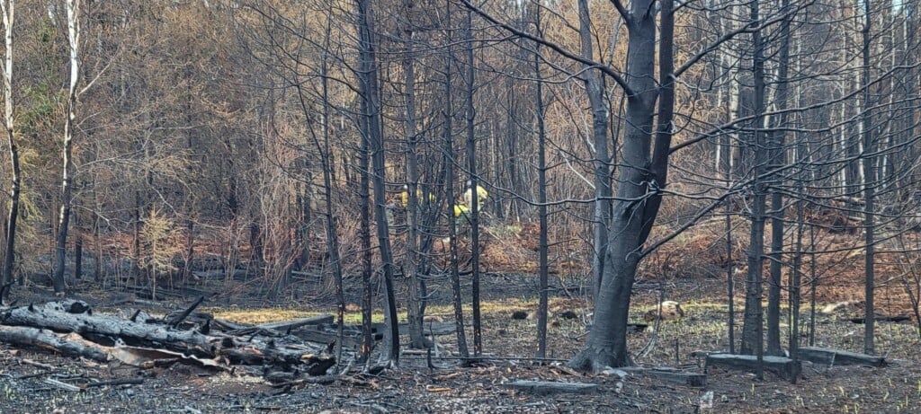 Burned Sawmill Site